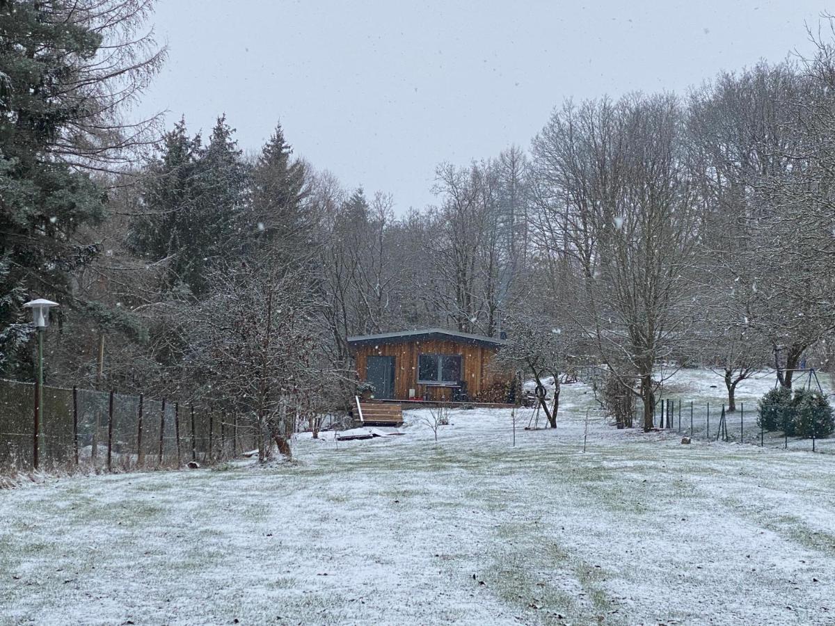 Ferienhaus II Zittertal Neustadt Harz Mit Grossem Garten, Kamin Und Fussbodenheizung Osterode  Eksteriør billede
