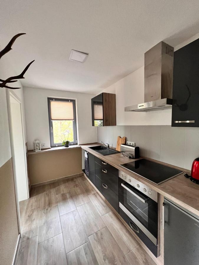 Ferienhaus II Zittertal Neustadt Harz Mit Grossem Garten, Kamin Und Fussbodenheizung Osterode  Eksteriør billede